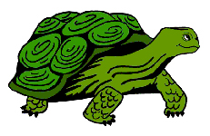 Turtle